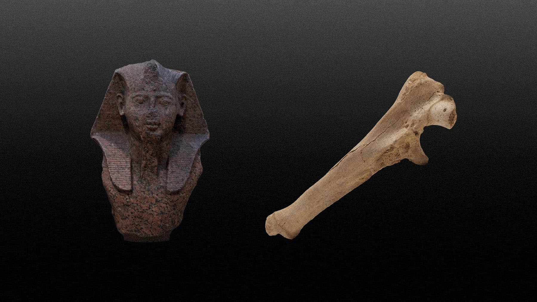 foto busto faraone e osso senza supporti